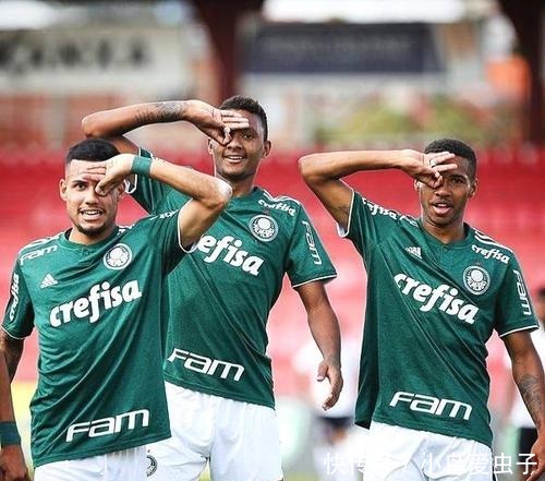 在探讨维尼 在探讨维尼