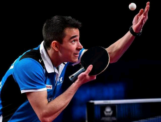 仅有助于提 仅有助于提