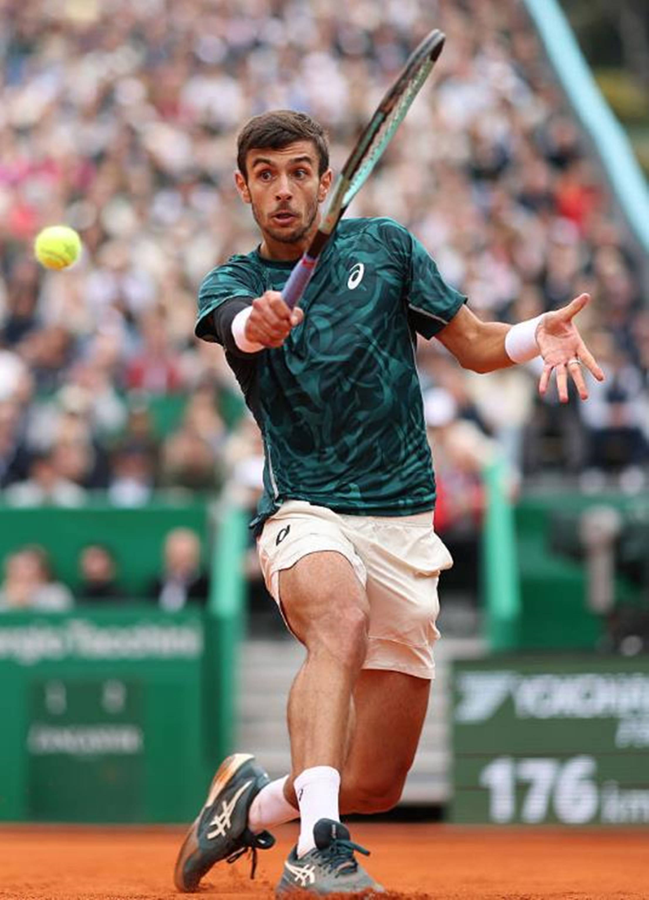 聚焦中国队 聚焦中国队