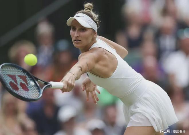 骑士完成引 骑士完成引