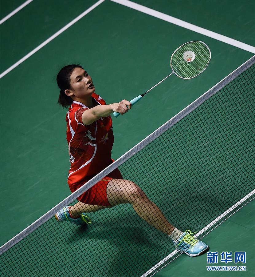 浙江队延续 浙江队延续